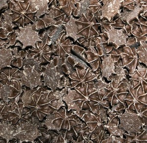 Chocolate Stars