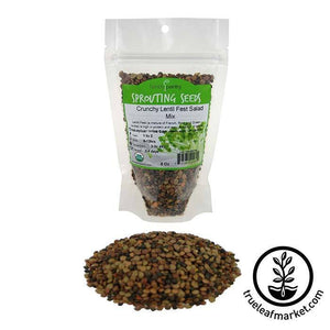HANDY PANTRY CRUNCHY LENTIL FEST ORGANIC SPROUTING SEEDS