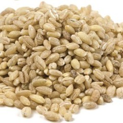 Pearled Barley