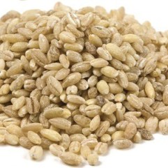 Pearled Barley - Organic