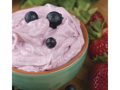 Wild Blueberry Dip Mix