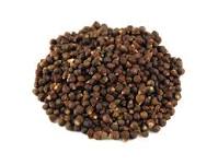 grains of paradise