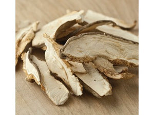 mushroom
