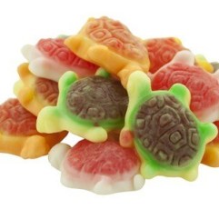 Jelly Filled Turtles